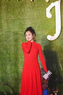 何洁生日会视频,感动与欢乐交织的夜晚