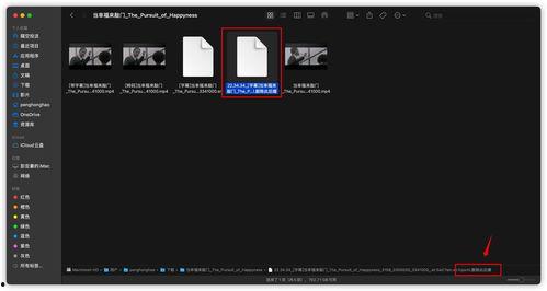 视频叠加字幕,字幕背后的故事与情感共鸣