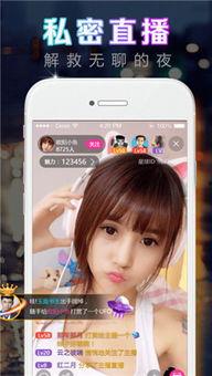 午夜福利直播视频,揭秘热门视频背后的精彩瞬间