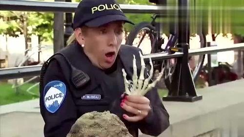 食人蚁视频,自然界中的恐怖生存法则