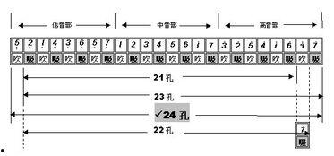 口琴教程24孔教程视频,轻松入门与进阶技巧