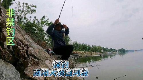 野钓选位视频,跟随视频学钓鱼选址