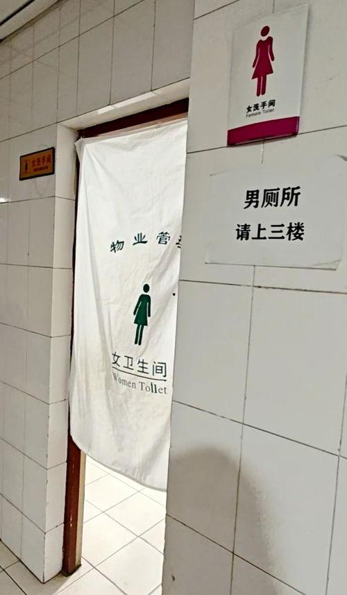 女厕小便视频,隐私边界与公共道德的碰撞