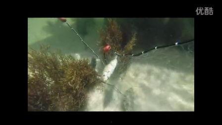 路亚亮片钓鱼视频,视频教学带你轻松上钩