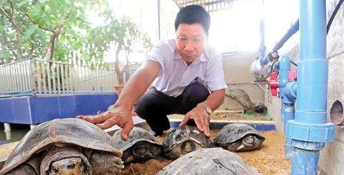 养龟致富视频,揭秘养龟行业的财富密码